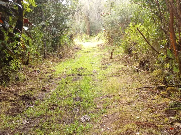 16-1624 Moho Rd Lot 4963, Mountain View, HI 96771