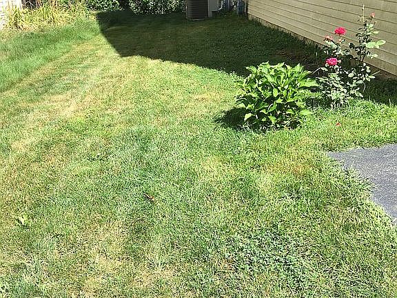 Side lawn 