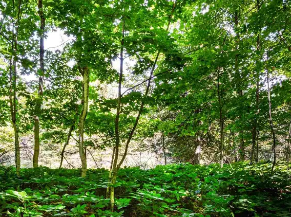 Wild Woods Ct Lot 423, Beaver Island, MI 49782