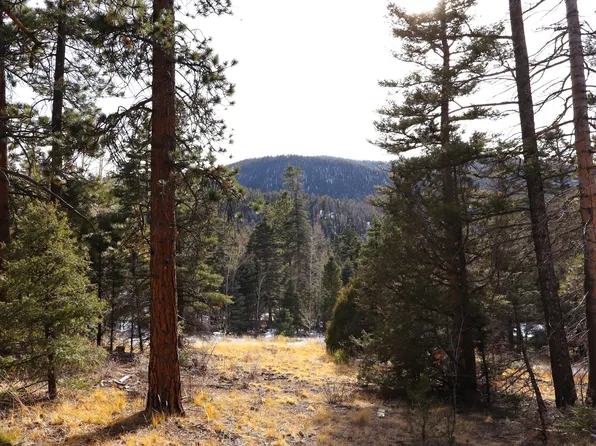 2622 Freeman Rd, Fort Garland, CO 81133