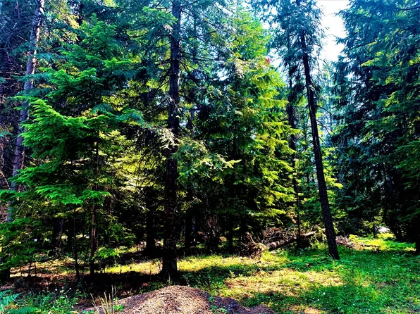 Nhn Hwy #200, Noxon, MT 59853