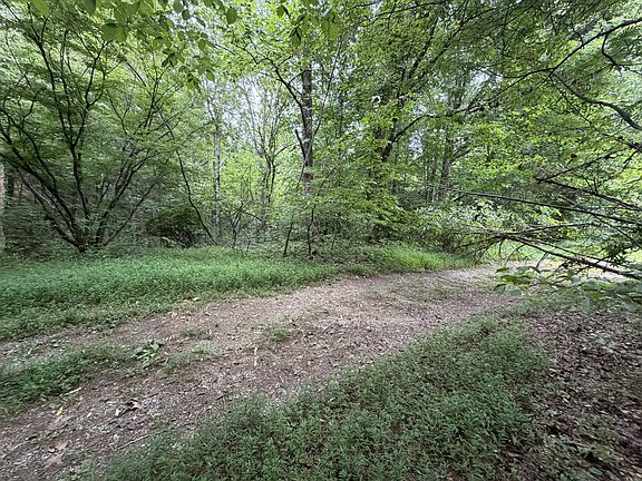 4th image of Lots 1 5 Forge Hideaway Rd