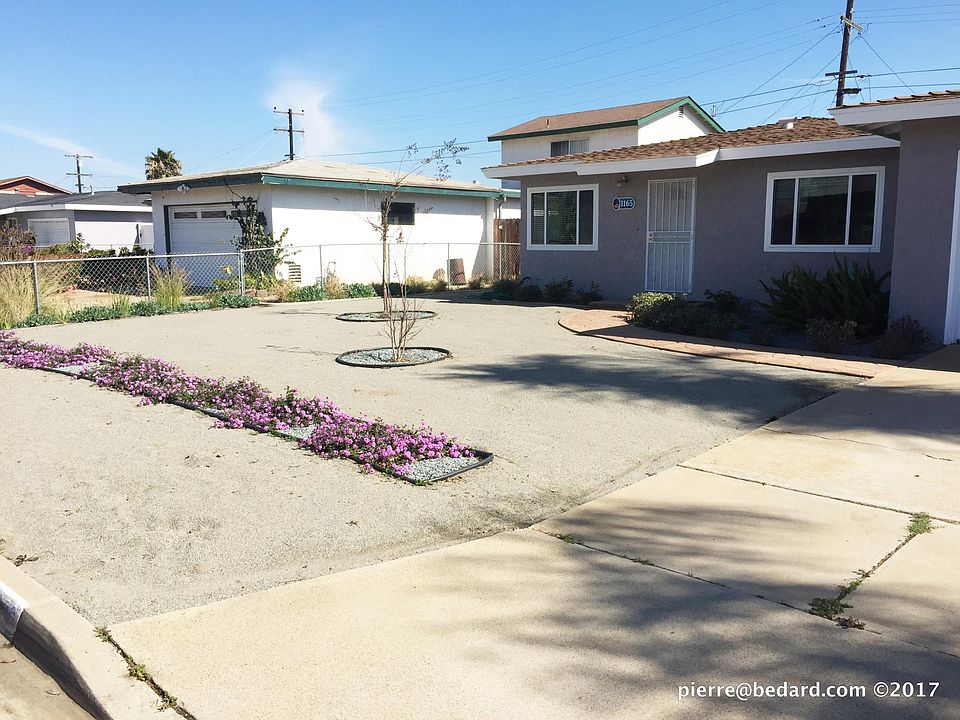 Front Yard