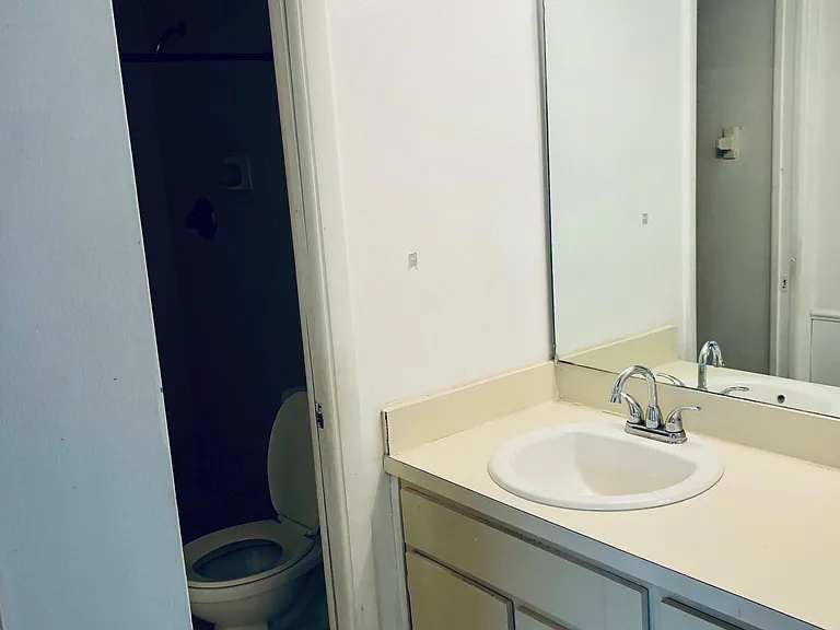 BATHROOM OFF LIVING ROOM