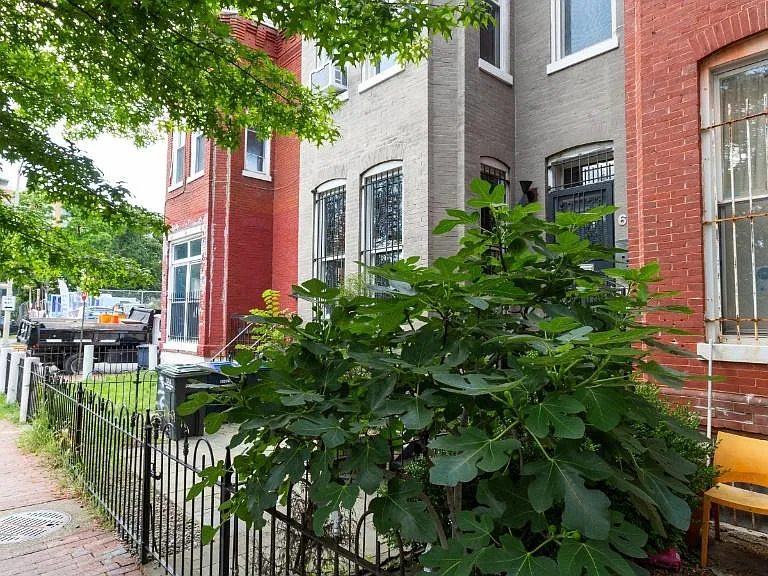 619 P St NW — Photo 6