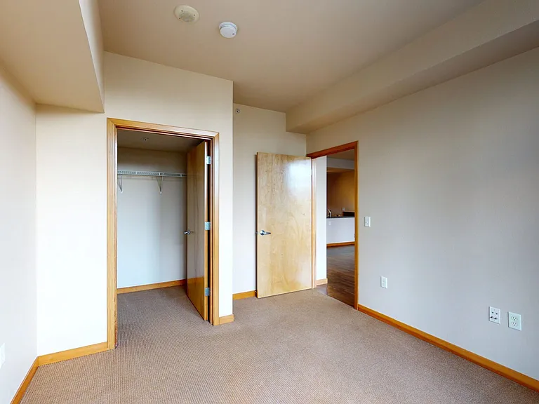 Spacious apartment bedroom with large closet and plush carpet flooring.