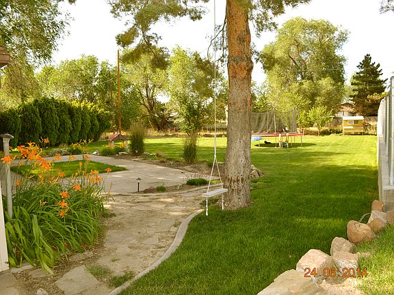 backyard in summer