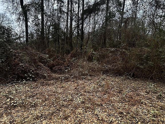 2nd image of 0 County Line Rd