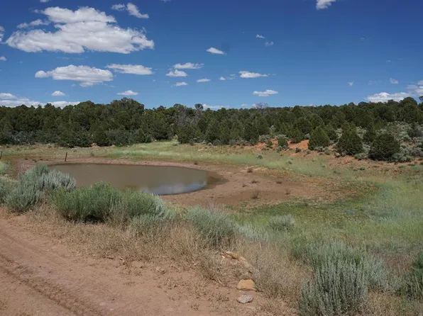 TRACT 3 COUNTY ROAD 8K, Egnar, CO 81325