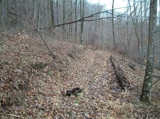 26734 S. Calhoun Hwy, Chloe, WV 25325