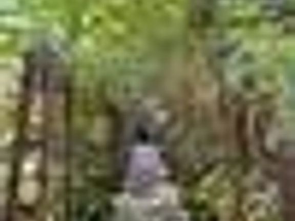 2nd image of 7264 7288 #3/4