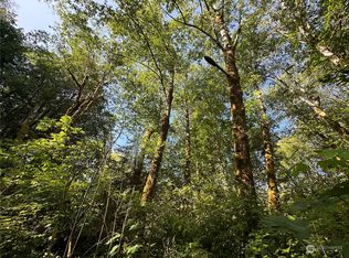 0 Whitcomb Diimmel Rd, Forks, WA 98331