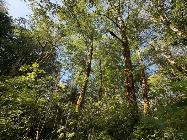 0 Whitcomb-Dimmell Road, Forks, WA 98331
