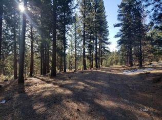 7540 County Road 133c, Davis Creek, CA 96108