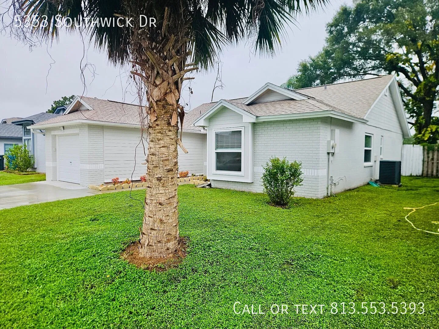 Charming 3-Bedroom Tampa Home in Desirable Hampton Park Spacious Living, Great Location & Everyda... — Photo 4