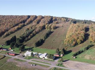1135 Toggenburg Rd #11, Fabius, NY 13063
