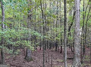 1971 Reids Ferry Rd #A, Buckhead, GA 30625