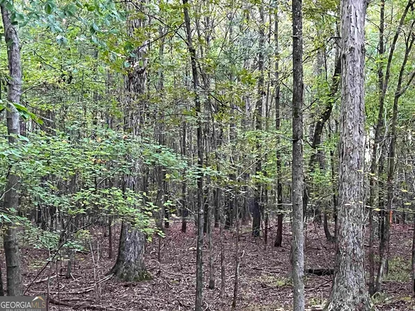 1991 Reids Ferry Rd, Buckhead, GA 30625