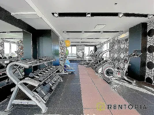 Rented by Rentopia | media 9