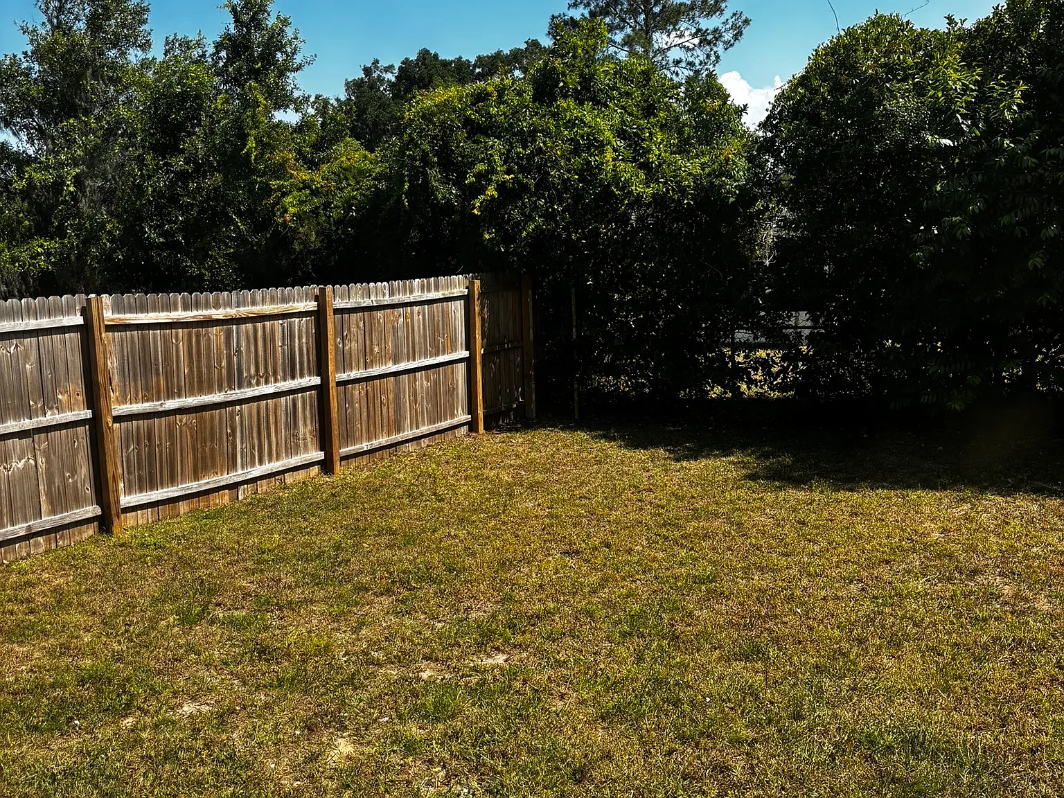 703 Dampier St 2 - 2 — Photo 3