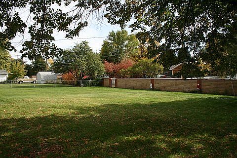 backyard NW corner looking E