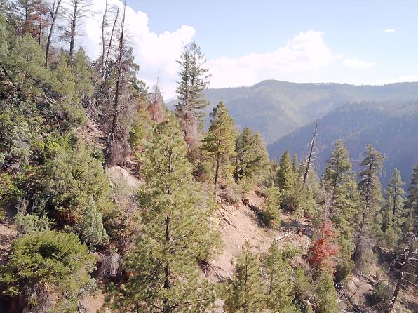 58 Road #P, Placerville, CO 81430
