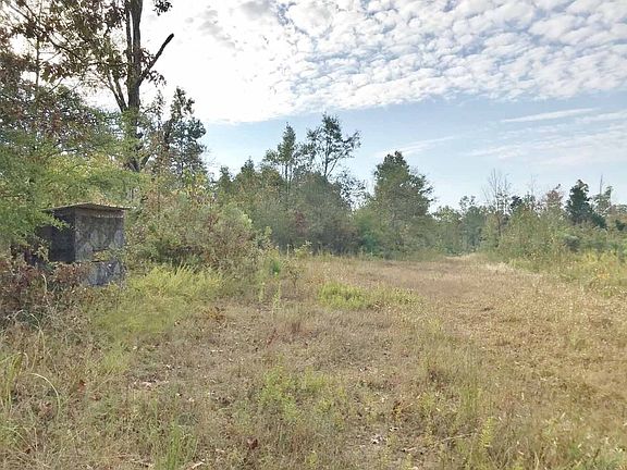 5th image of 290 County Road 319