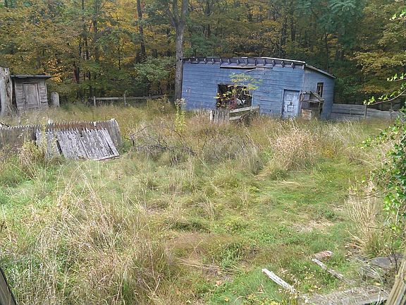 maybe the back needs a mow