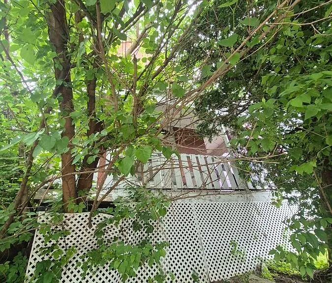 1704 Madison Ave #3 — Photo 14