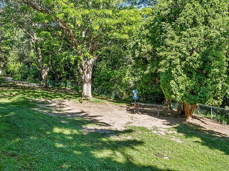 Shaded Dog Park Area
