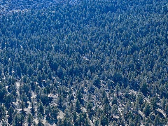 3rd image of 0 Bear Valley Rd