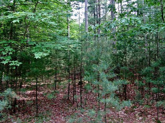 3rd image of Black Pine Ln Lot 23