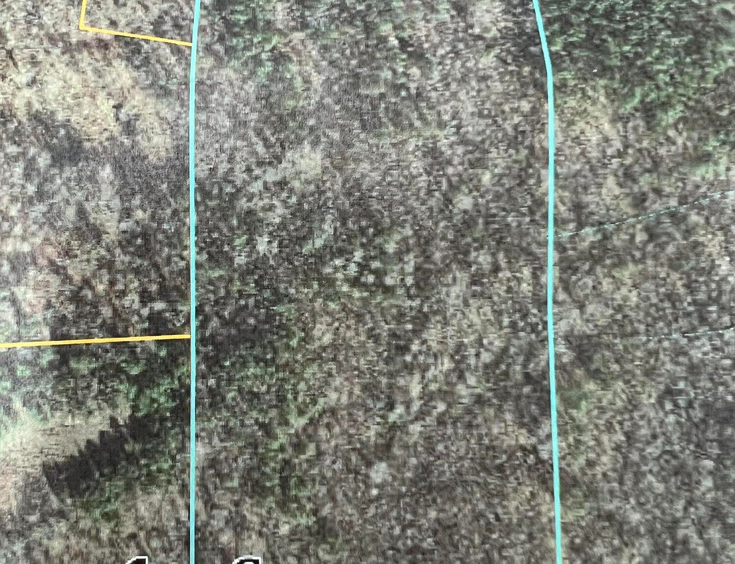 County Road 377, Burnsville, MS 38833 MLS 232382 Zillow