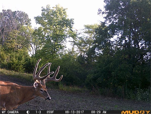 1st image of 40770 Elm Trl