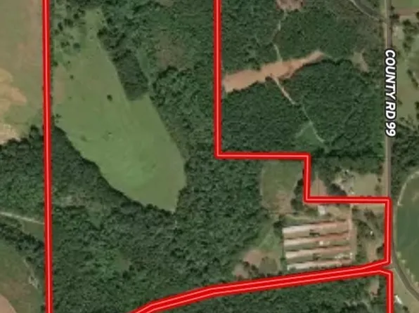 0 County Road 99 Rd, Chancellor, AL 36316