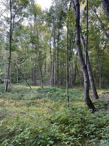 3610 W 110th Ave, Allegan, MI, 49010
