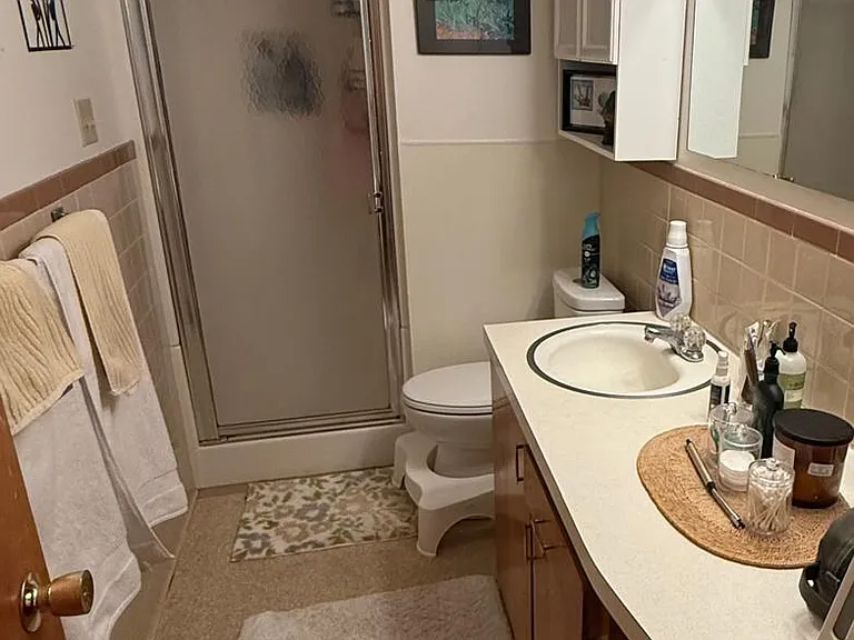 Downstairs bathroom