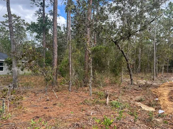NW Sparrow Rd Lot 28, Dunnellon, FL 34431