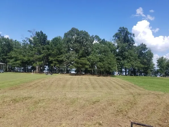 4 The Highlands At Lake Eufaula Lot 4, Abbeville, AL 36310