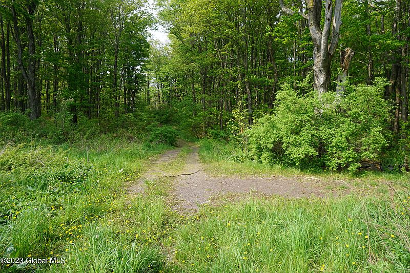 3rd image of 84 Thunder Hill Road
