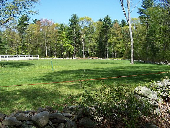 Pasture view