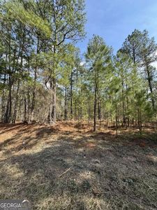0 Anthony Shoals Rd, Tignall, GA, 30668