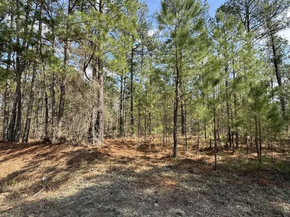 0 Anthony Shoals Rd, Tignall, GA 30668