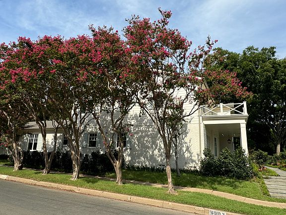 Sidewalk view with beautiful flowering Crepe Myrtles along the path.