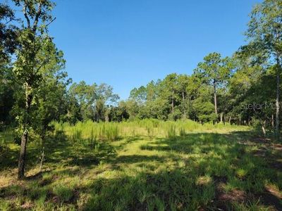 SE 32nd Pl, Morriston, FL, 32668