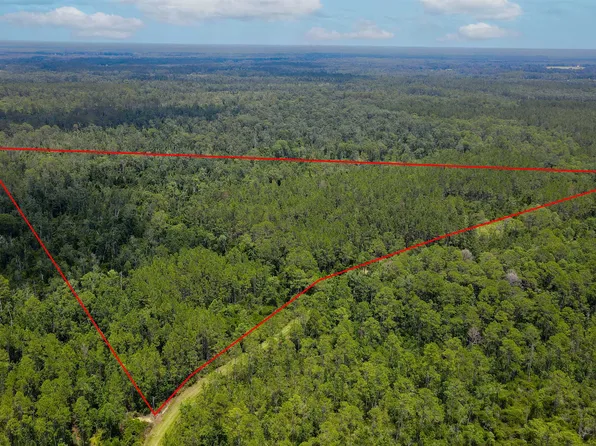 115 SW Pier Rd, Greenville, FL 32331