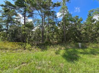 19 Candytuft Ct, Homosassa, FL 34446