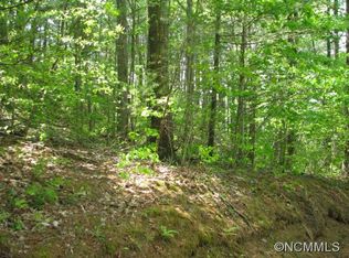 123 Spooks Branch Rd, Asheville, NC 28804