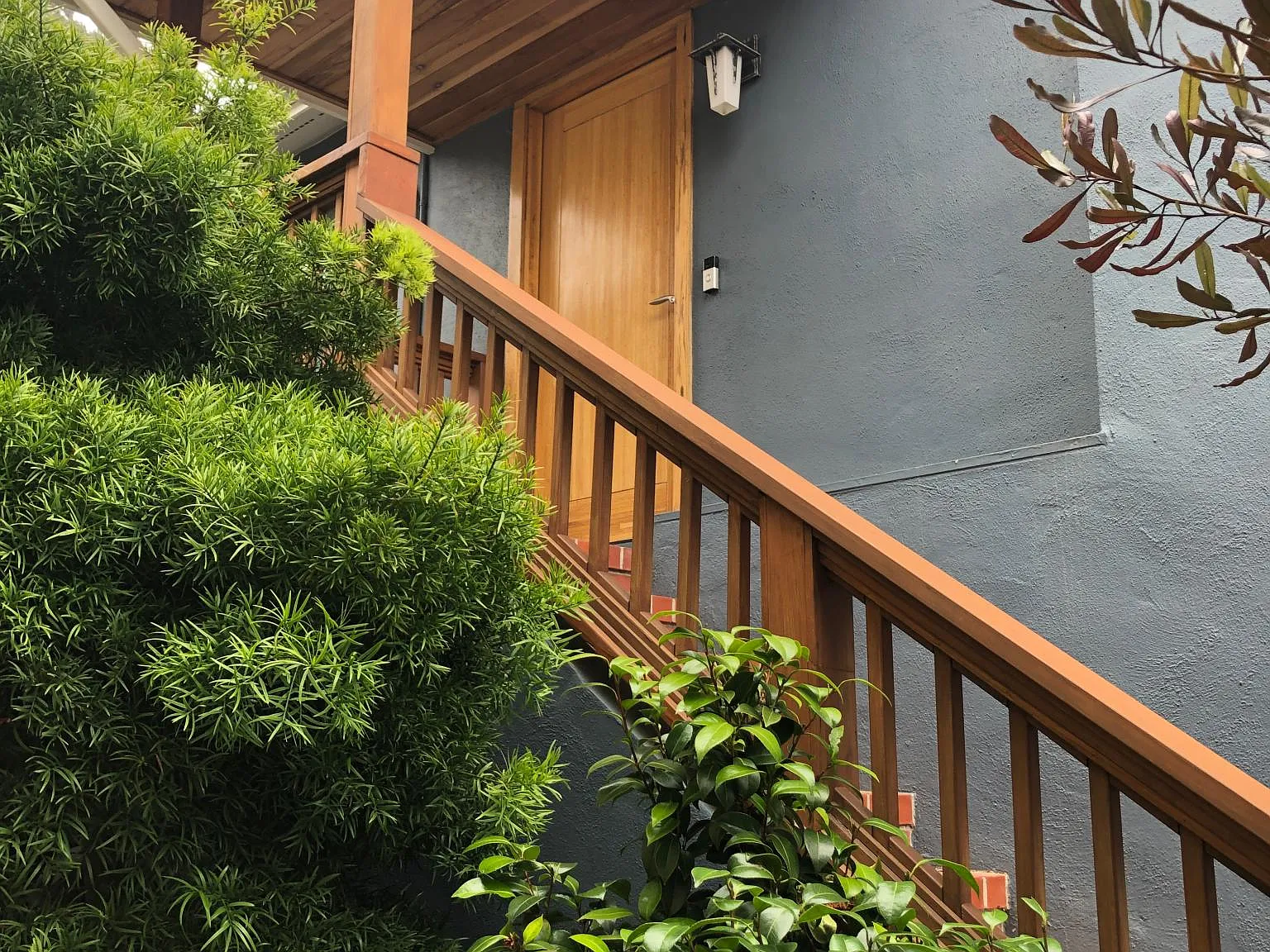 305 Farallon Ave — Photo 3