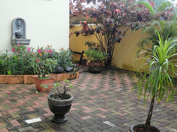 Interior garden